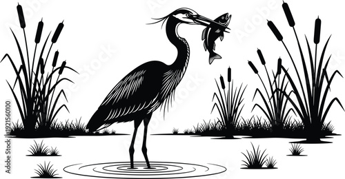 Black vector silhouette of a great blue heron catching a fish in a pond surrounded by cattails and reeds for wetland nature branding design