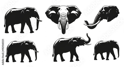 Collection of Elephant Silhouettes in Various Poses.