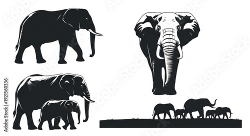 Collection of Elephant Silhouettes in Various Poses.