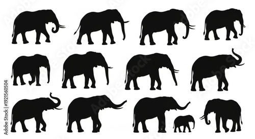Collection of Elephant Silhouettes in Various Poses.