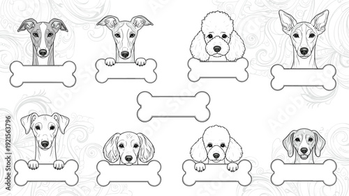 Collection of various dog breed illustrations peering over blank bone shaped labels on a decorative grey patterned background.