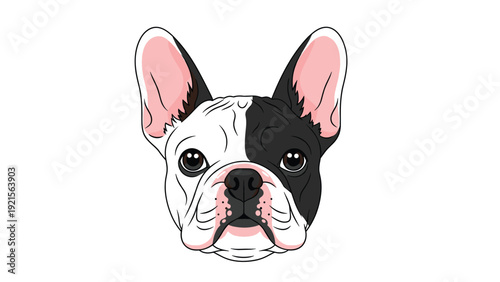 Detailed close up head portrait of a black and white French Bulldog looking forward in a clean vector character illustration.
