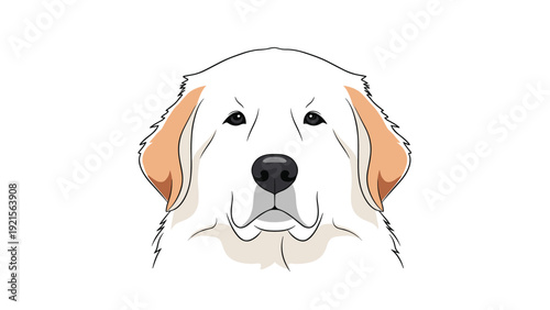 Close up head portrait of a white dog with tan ears looking forward in a clean colorful vector character illustration.