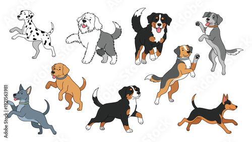 Large collection of active dogs jumping running and playing shown in various poses in a clean colorful vector illustration.