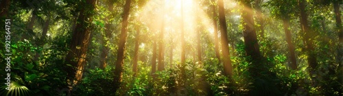 Sunlight streaming through lush trees in a vibrant forest nature photography serene environment scenic view