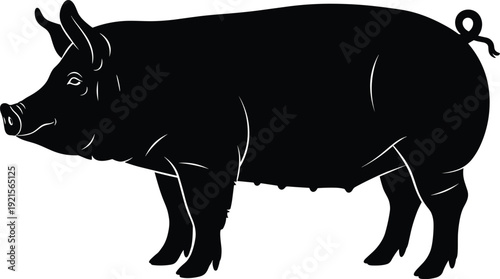 Black pig silhouette isolated on white background for farm animal livestock butchery logo design, cad drawing flat vector illustration, pork meat icon