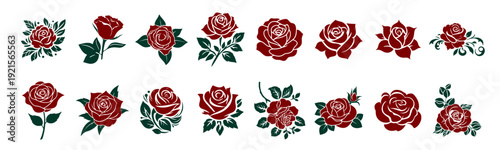 Hand drawn roses bouquet watercolor illustration set with floral design elements for romantic, wedding, and decorative use