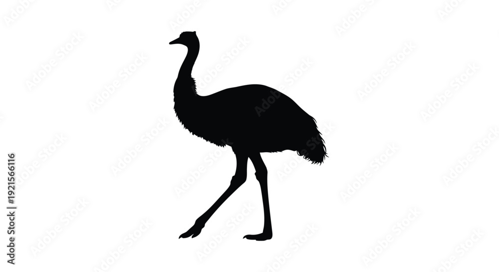 Obraz premium Silhouette of a rhea a large flightless bird depicted in black
