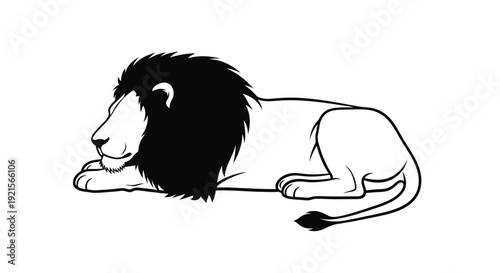 A black and white illustration depicting a resting male lion