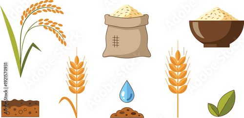 Rice harvest and agricultural elements set, flat vector illustrations with paddy ears, rice grains in sack and bowl, water drop and soil isolated on white background.