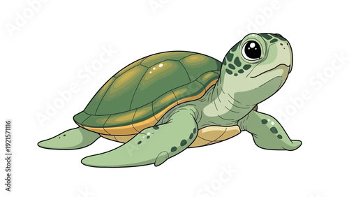vector of a turtle isolated on white