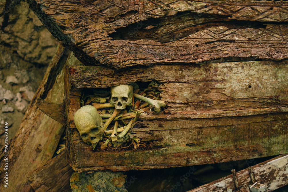 Fototapeta premium Traditional Torajan Burial Coffins on Limestone Cliff in Toraja, Indonesia