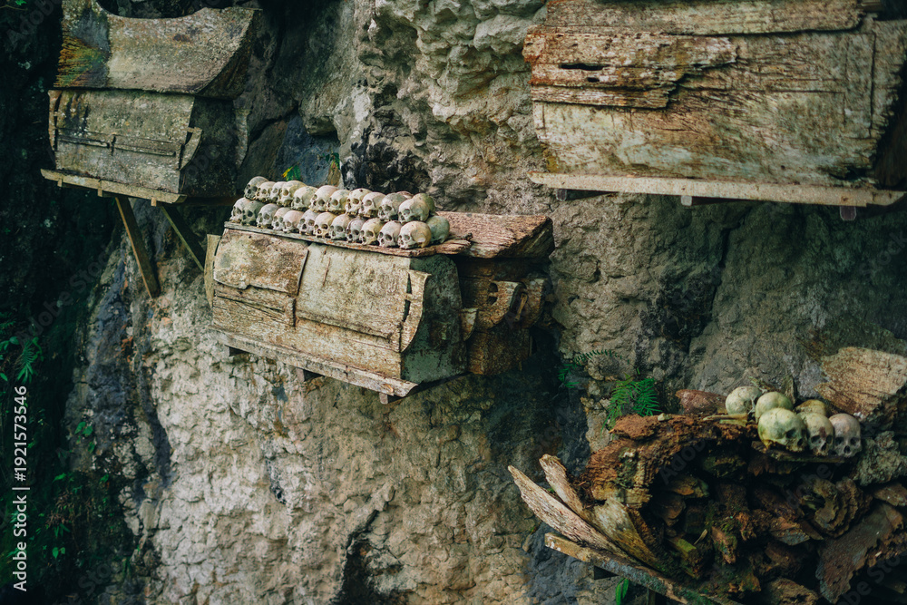 Fototapeta premium Traditional Hanging Coffins at Londa Cliff Burial Site, Toraja, South Sulawesi, Indonesia