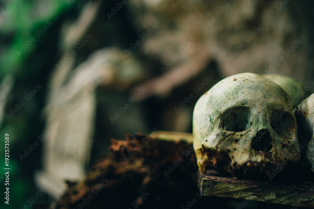 Fototapeta premium Traditional Cliff Burial Coffin and Human Skulls at Londa, Toraja, Indonesia