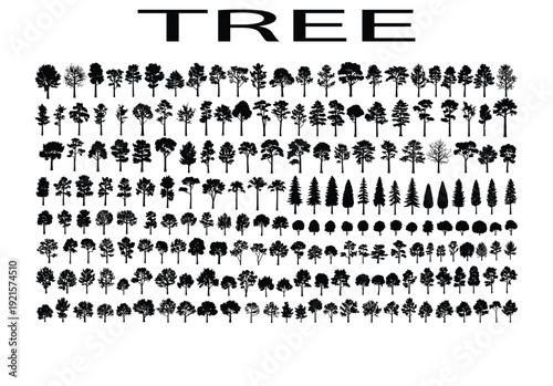 Top view of a chef preparing food in a professional kitchen, highlighting culinary expertise, passion, and the art of cooking.