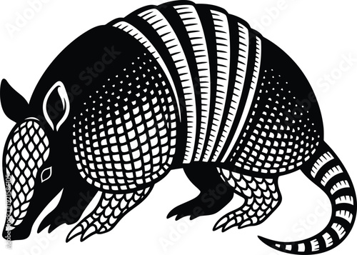 Armadillo vector illustration isolated on transparent background