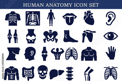 Human anatomy icon set, medical body parts silhouettes including skeleton, heart, ear, eye, bones, muscles, organs, healthcare vector illustration collection