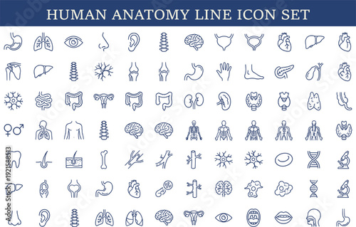 Human anatomy line icon set, medical body organs and systems outline collection including brain, heart, lungs, bones, healthcare vector illustration