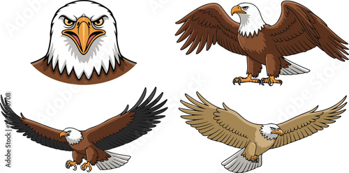 A set of four eagle illustrations arranged in a 2x2 grid against a white background.