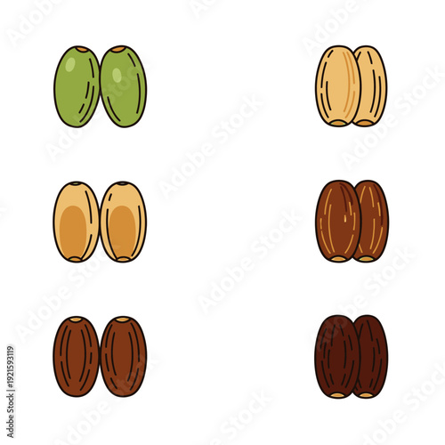 Coffee Beans at Different Roasting Stages.