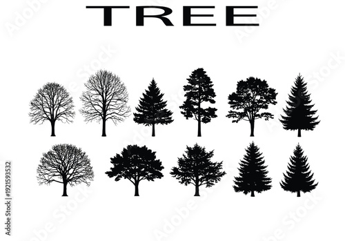 Close-up macro shot of water droplets on a green leaf, showcasing nature's beauty, freshness, and the concept of purity.