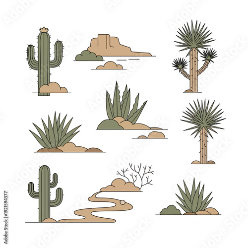 Desert Cacti and Succulents Illustration Set.