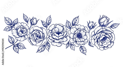 Beautiful blue roses and leaves illustration.