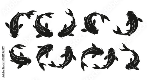 Set of black koi fish silhouettes in various poses.