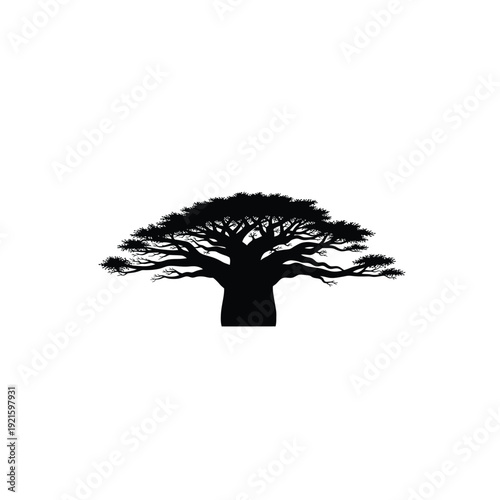 Majestic black silhouette of a Baobab tree with broad, spreading branches