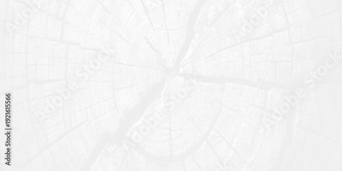 A seamless white paper texture with a black and white abstract design featuring a rough grunge surface and a gray marble pattern for a winter backdrop