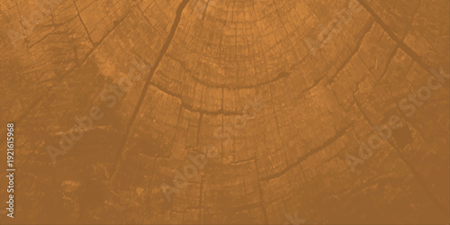 An aged brown wood texture background featuring a natural vintage timber pattern with a rough grunge surface and weathered wooden board design