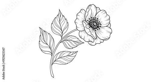 Beautiful hand drawn floral sketch shows a single blooming flower with detailed petals and leaves on a clean white background.