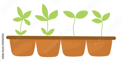 Fresh Seedling Planter, Vector Plant Pot Illustration for Garden Projects. Window Planter Tray, Green Seedling Clipart for Home Gardening. Small Planter Sprouts