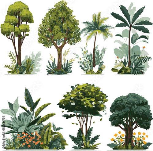Set of vector trees. Cartoon trendy forest plants. Botanical summer plants and trees, tropical forest foliage and garden bushes, nature floral elements vector art with white backiground