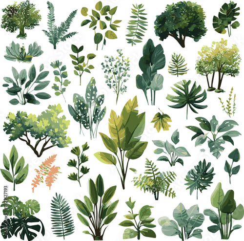  Create a different kinds of Cartoon trendy forest plants. Botanical summer plants and trees, tropical forest foliage and garden bushes, nature floral elements vector art with white background