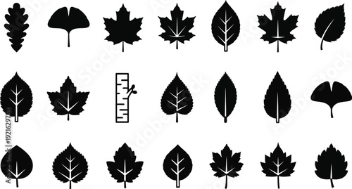 set of leaf silhouettes