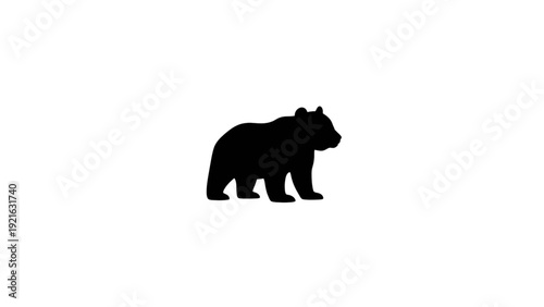 Silhouette of a large grizzly bear walking side view