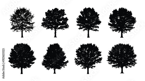 Silhouettes of various deciduous trees arranged in a grid pattern