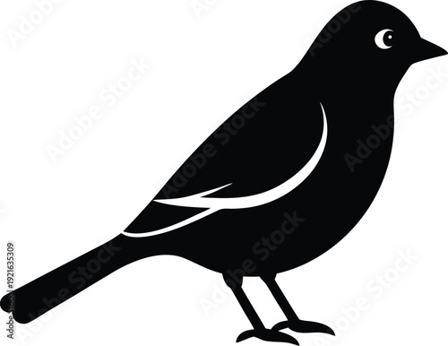 cedar waxwing bird silhouette vector art illustration, black and white design