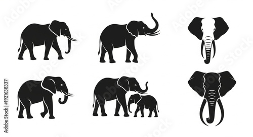 Collection of Elephant Silhouettes and Icons.