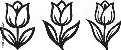 stylized tulip flower in vector