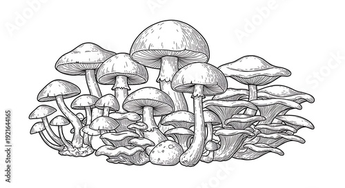 Inkbloom: A Fungi Symphony