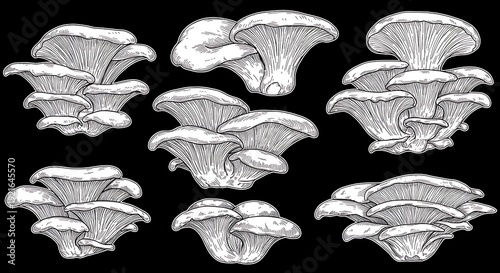 Ink & Fungi: A Still Life