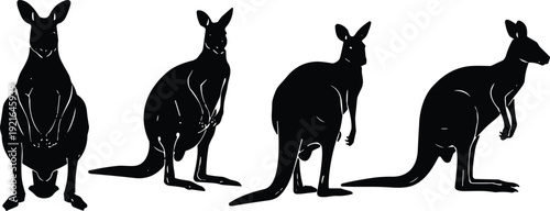 Australian kangaroo silhouette collection, marsupial wildlife poses set, animal vector illustration, black minimalist design isolated icon, flat graphic art pack