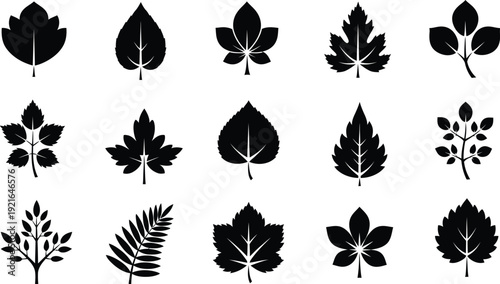 Collection of diverse leaf silhouettes