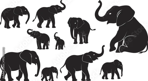 Fototapeta Black elephant silhouette collection, elephant family poses, wildlife animal illustration set, african elephant vector, isolated minimalist design