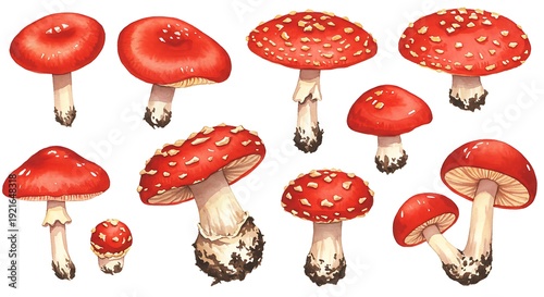 Crimson Cap Collection