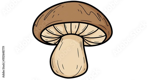 Earthy Hues, Forest Fungi