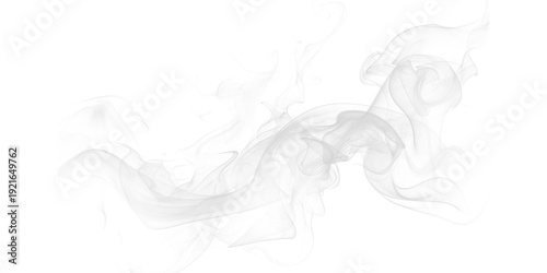 Tableau sur toile Ethereal white smoke tendrils dance in darkness abstract wisps creating a mystic