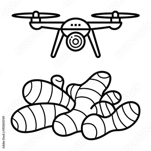 Drone and Turmeric Roots Vector Illustration